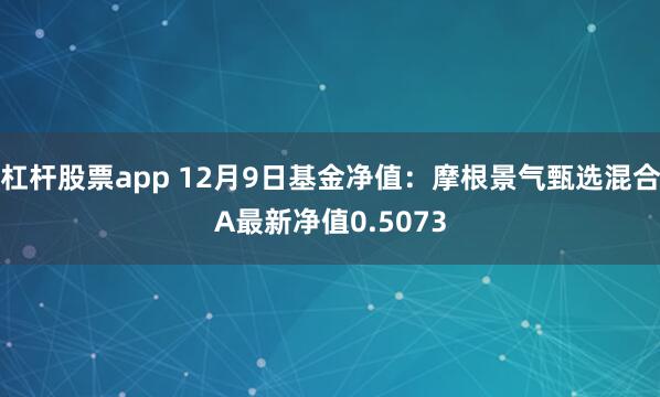 杠杆股票app 12月9日基金净值：摩根景气甄选混合A最新净值0.5073