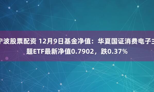 宁波股票配资 12月9日基金净值：华夏国证消费电子主题ETF最新净值0.7902，跌0.37%