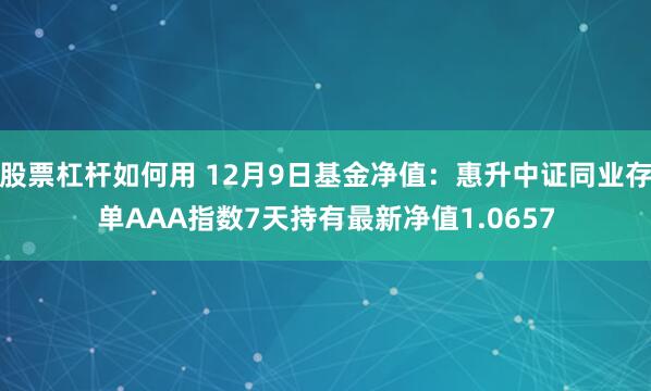 股票杠杆如何用 12月9日基金净值：惠升中证同业存单AAA指数7天持有最新净值1.0657