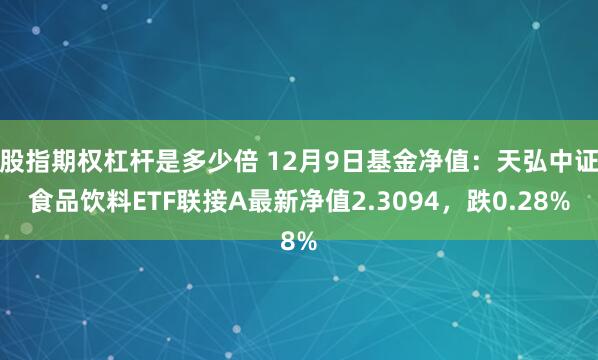 股指期权杠杆是多少倍 12月9日基金净值：天弘中证食品饮料ETF联接A最新净值2.3094，跌0.28%