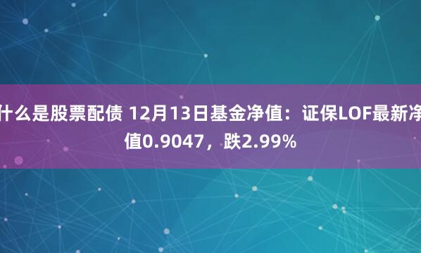 什么是股票配债 12月13日基金净值：证保LOF最新净值0.9047，跌2.99%