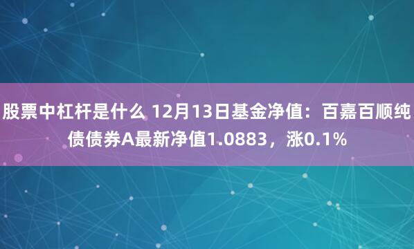 股票中杠杆是什么 12月13日基金净值：百嘉百顺纯债债券A最新净值1.0883，涨0.1%