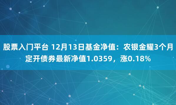 股票入门平台 12月13日基金净值：农银金耀3个月定开债券最新净值1.0359，涨0.18%