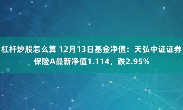 杠杆炒股怎么算 12月13日基金净值：天弘中证证券保险A最新净值1.114，跌2.95%