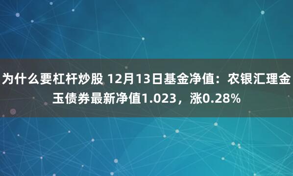 为什么要杠杆炒股 12月13日基金净值：农银汇理金玉债券最新净值1.023，涨0.28%