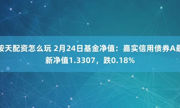 按天配资怎么玩 2月24日基金净值：嘉实信用债券A最新净值1.3307，跌0.18%